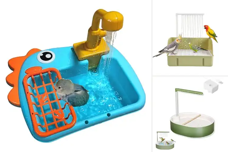 Detailed view of Best Pet Bird Baths: Top 10 Picks for Happy, Clean Birds