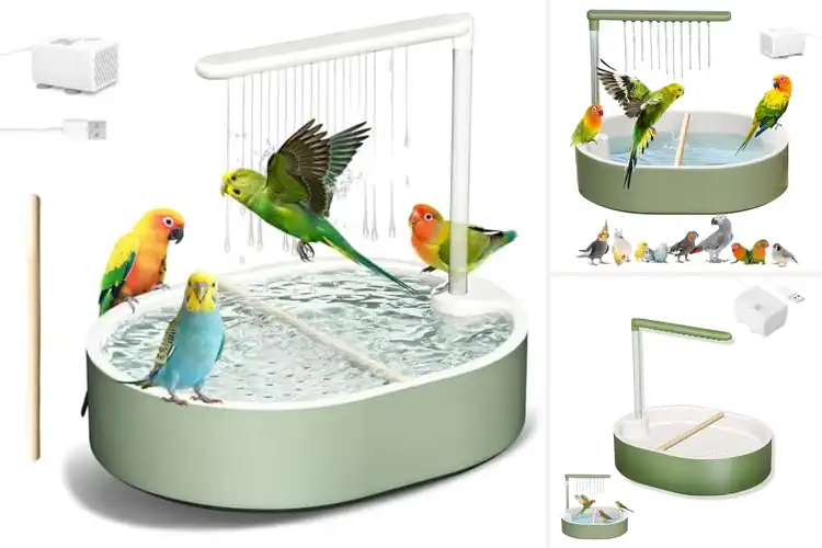 Detailed view of Best Pet Bird Care Accessories Shower