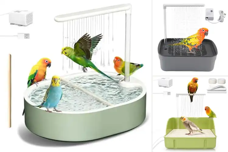 Detailed view of Best Pet Bird Showers: Make Bath Time Joyful