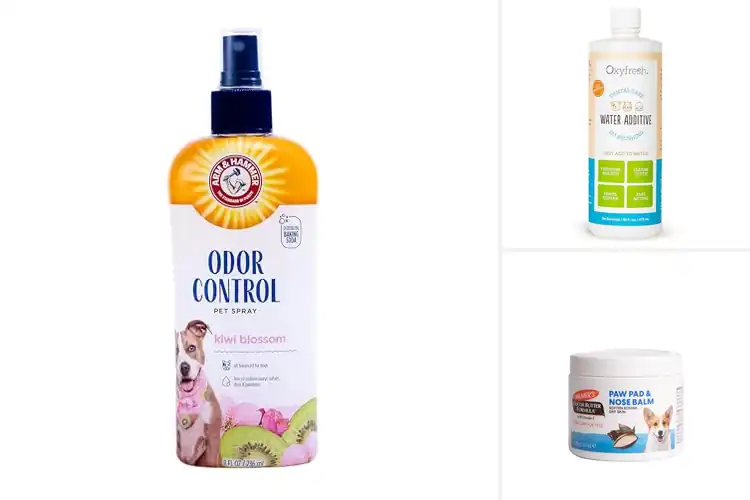 Detailed view of Best Pet Care Products