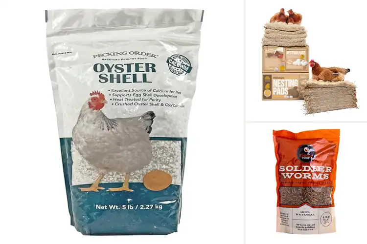 Detailed view of Best Pet Chicken Supplies