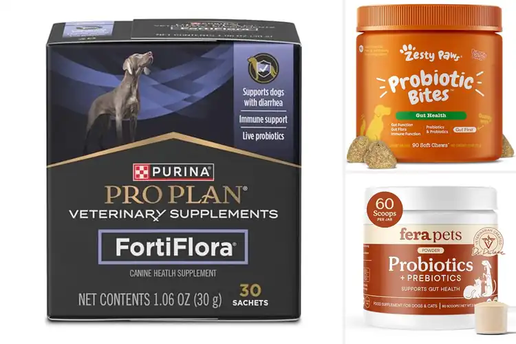 Detailed view of Best Pet Probiotics