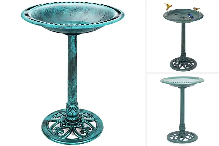 Detailed view of Best Plastic Bird Baths for a Beautiful Garden