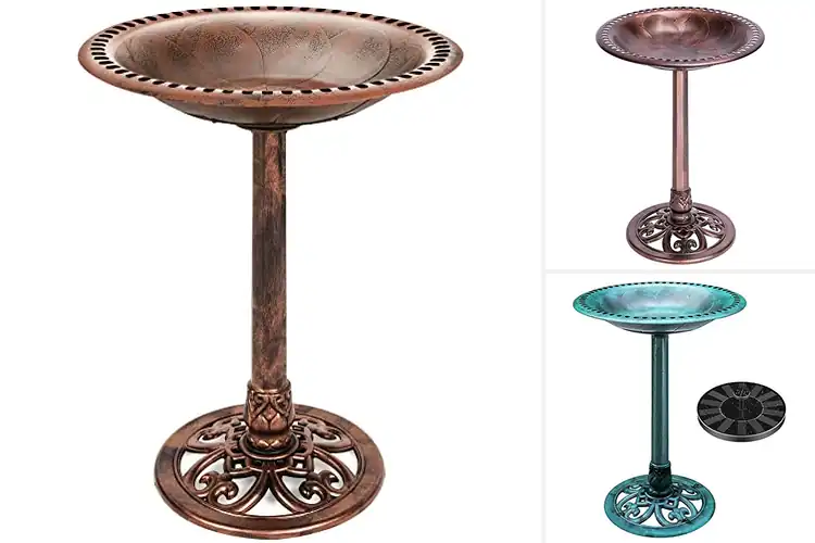 Detailed view of Best Polyresin Bird Baths: 10 Stunning Picks for Your Garden