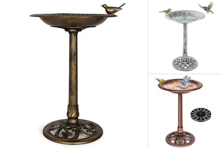 Detailed view of Best Polyresin Construction Bird Bath