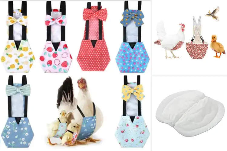 Detailed view of Best Poultry Diapers