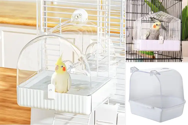 Detailed view of Best Quality Bird Bath For Cage Parakeet