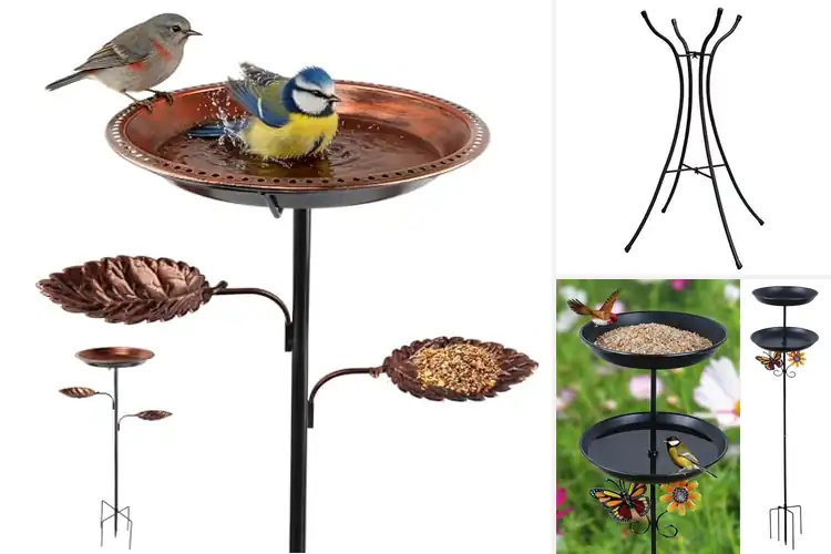 Detailed view of Best Quick-Assembly Bird Bath