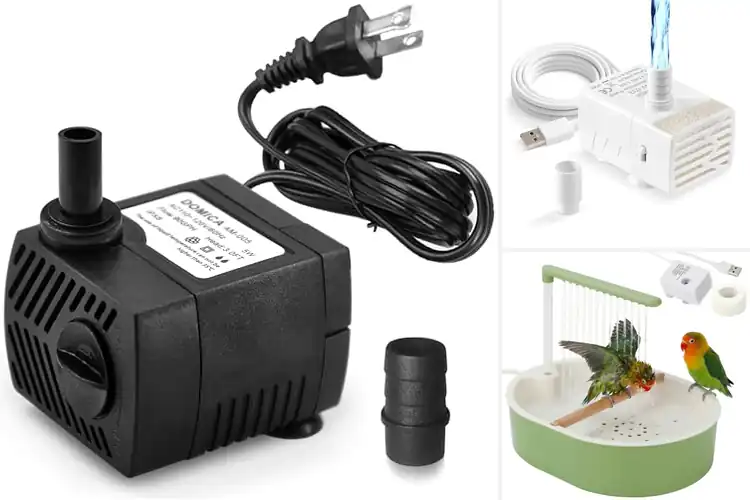 Detailed view of Best Quiet Water Pump Bird Bath