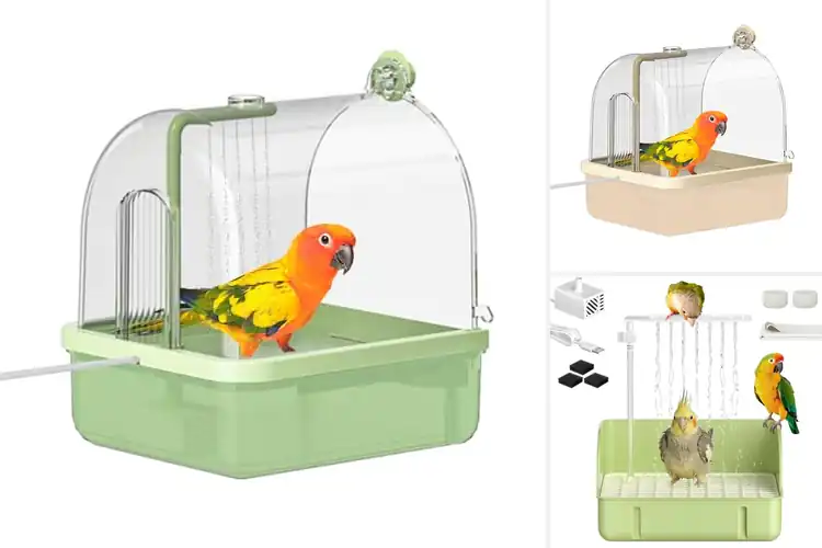 Detailed view of Best Recirculating Bird Baths With Filter For Finches