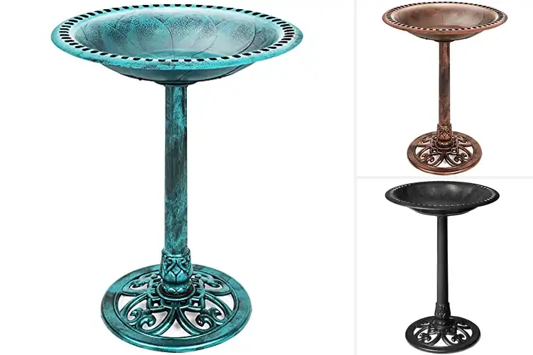 Detailed view of Best Resin Bird Baths