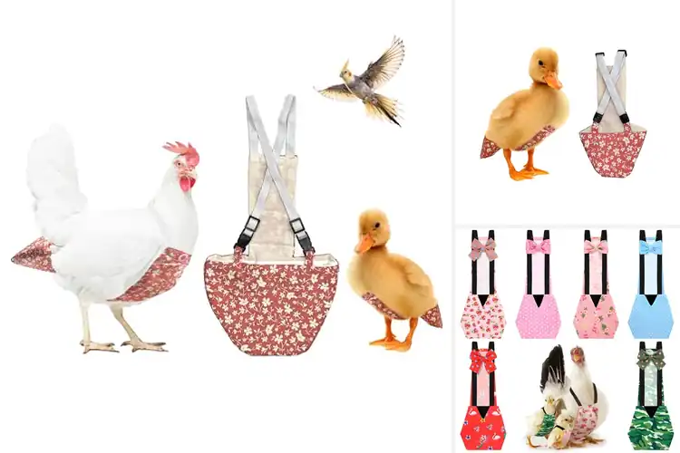 Detailed view of Best Reusable Duck Diapers