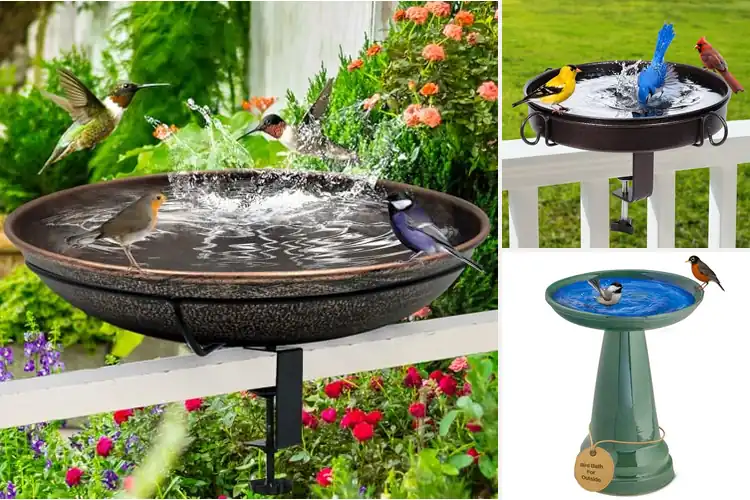 Detailed view of Best Secure Bird Bath To Prevent Tipping