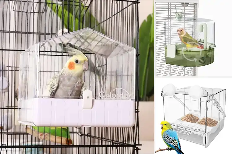Detailed view of Best Secure Bird Baths For Cage Attachment