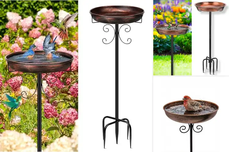 Detailed view of Best Secure Bird Baths