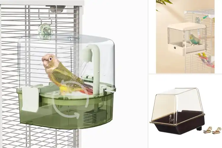Detailed view of Best Secure Cage Attachment Bath