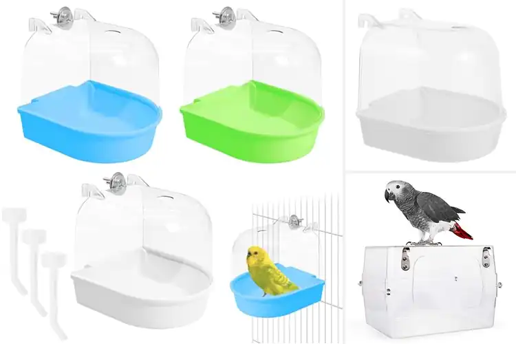 Detailed view of Best Secure Mounted Bird Bath For Cage