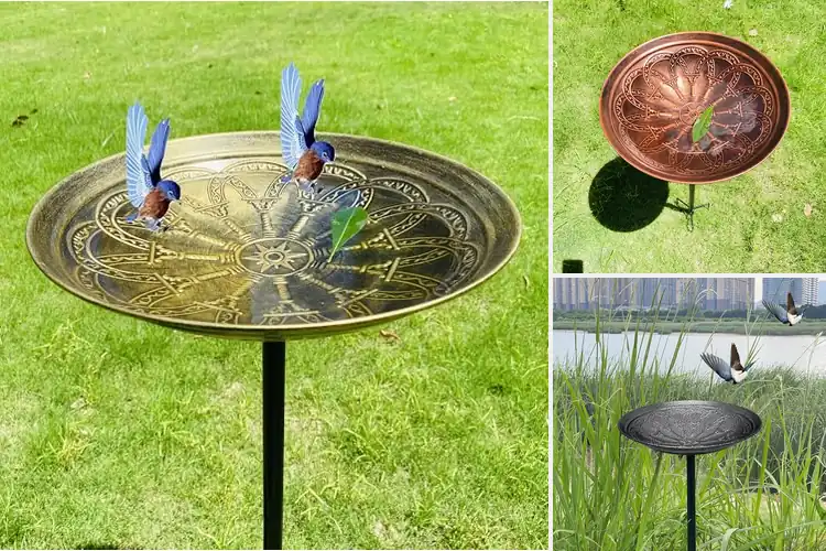 Detailed view of Best Simple Assembly Bird Baths