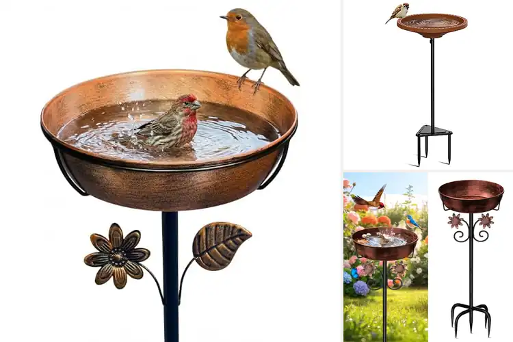 Detailed view of Best Stable Bird Baths For Outdoors