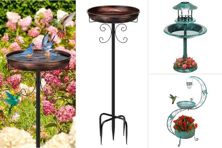 Detailed view of Best Stable Bird Baths: Top 10 Durable Picks for Happy Birds