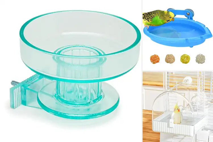 Detailed view of Best Stable Cage Mounted Bird Bath