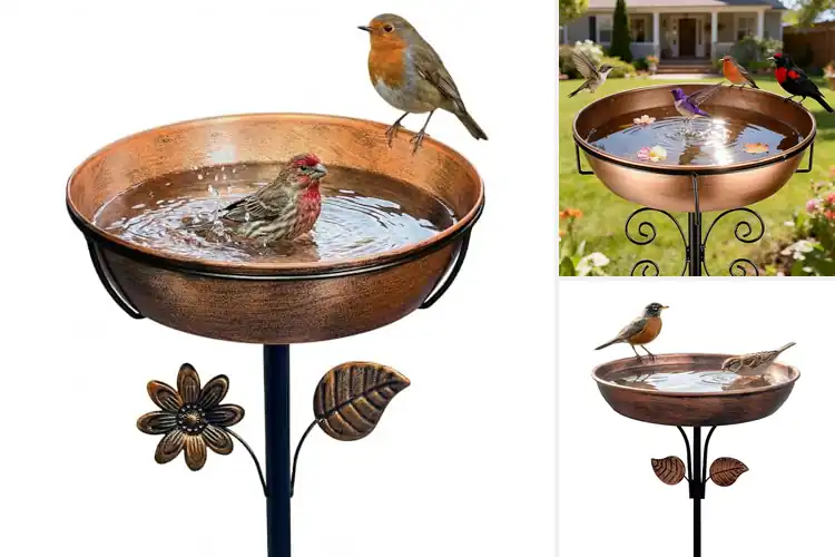 Detailed view of Best Stable Grounded Bird Bath