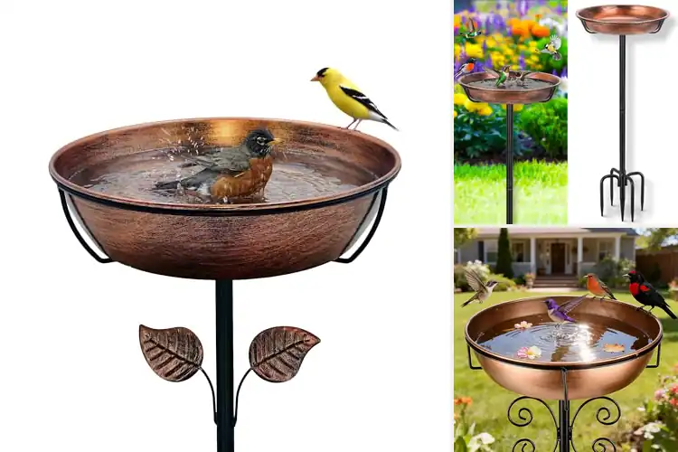 Detailed view of Best Stable Outdoor Bird Baths for a Beautiful Garden