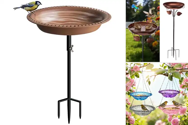 Detailed view of Best Value Weatherproof Bird Bath