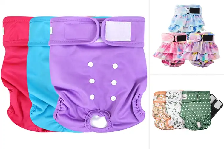 Detailed view of Best Washable Pet Diapers