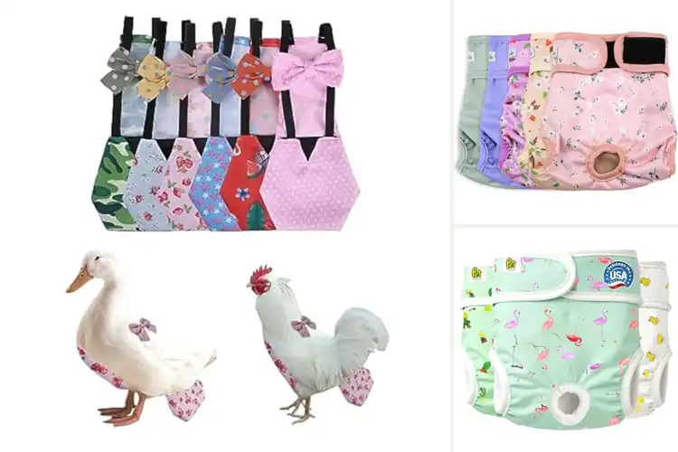 Detailed view of Best Waterproof Pet Diapers: Leak-Proof Comfort for Your Pet