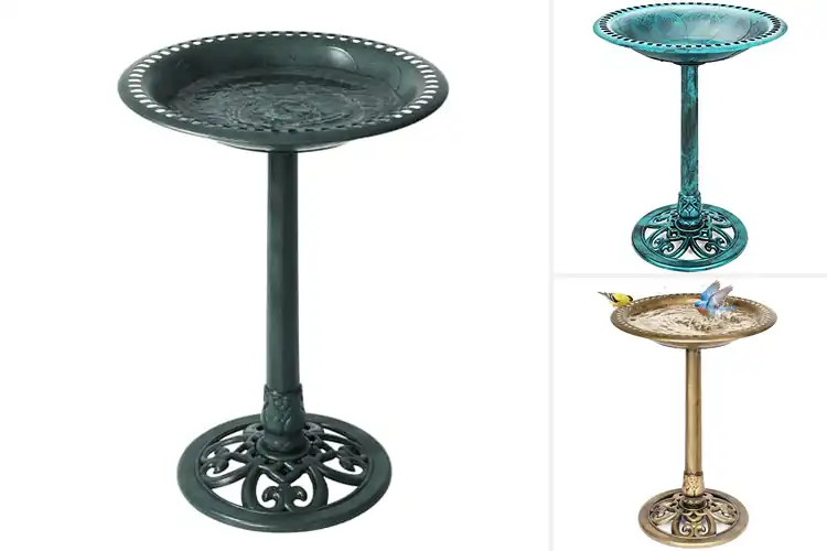 Detailed view of Best Weather Resistant Bird Bath