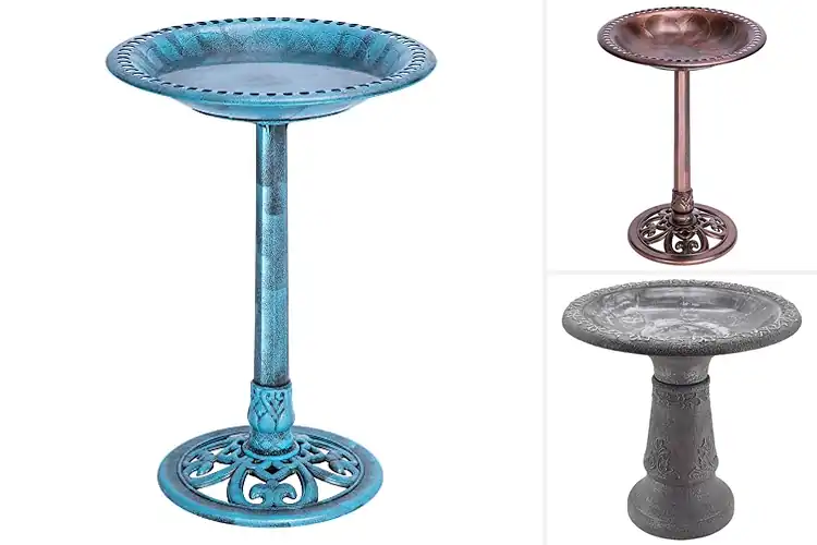 Detailed view of Best Weather-Resistant Bird Baths: Top 10 Garden Picks