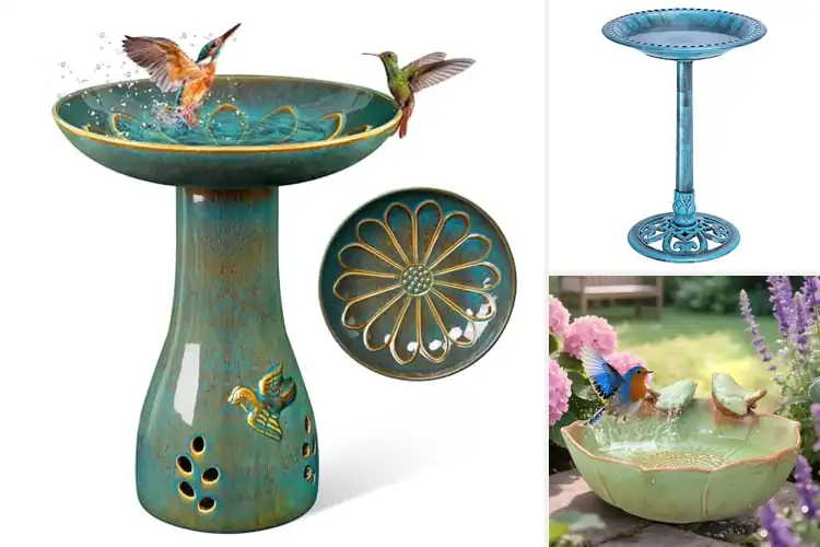 Detailed view of Best Weather-Resistant Birdbaths